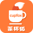 茶杯狐 cupfox官方正版网页